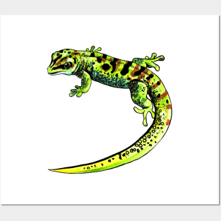 gecko Phelsuma Posters and Art